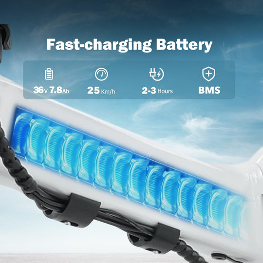 Finbike U3 Electric Foldable Bike 16" Tires 36V 7.8Ah Battery