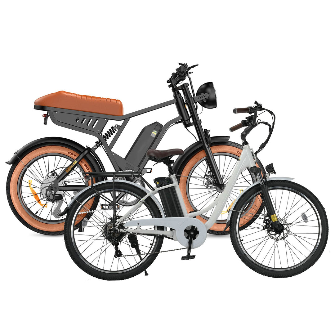 U2 &amp; R6 Elektrofahrrad-Kombi