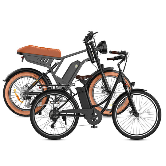 U2 &amp; R6 Elektrofahrrad-Kombi